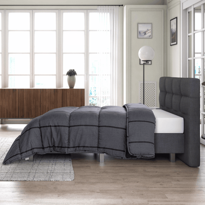 Zelesta Royalbed Stripe - Schwarz & Grau