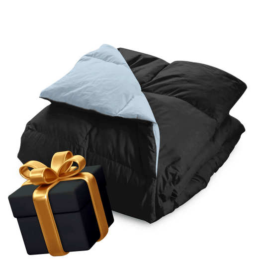 1+1 GRATIS: Wonderbed Cotton Down - Himmelblau & Schwarz (gleicher Größe)