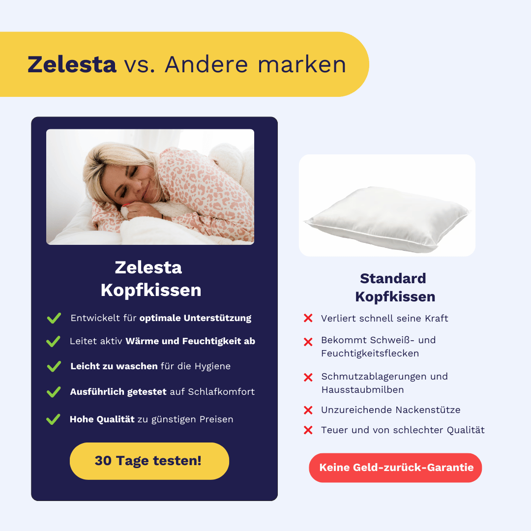 Zelesta WonderPillow 80x80cm