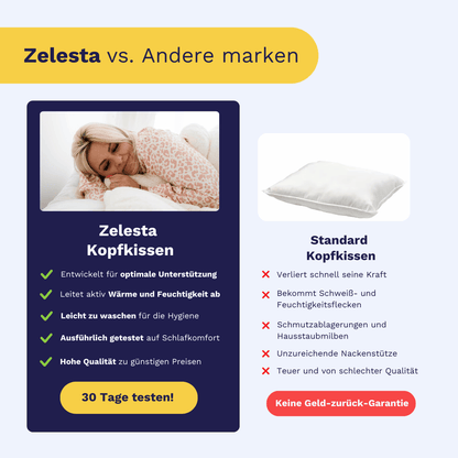Zelesta WonderPillow 80x80cm