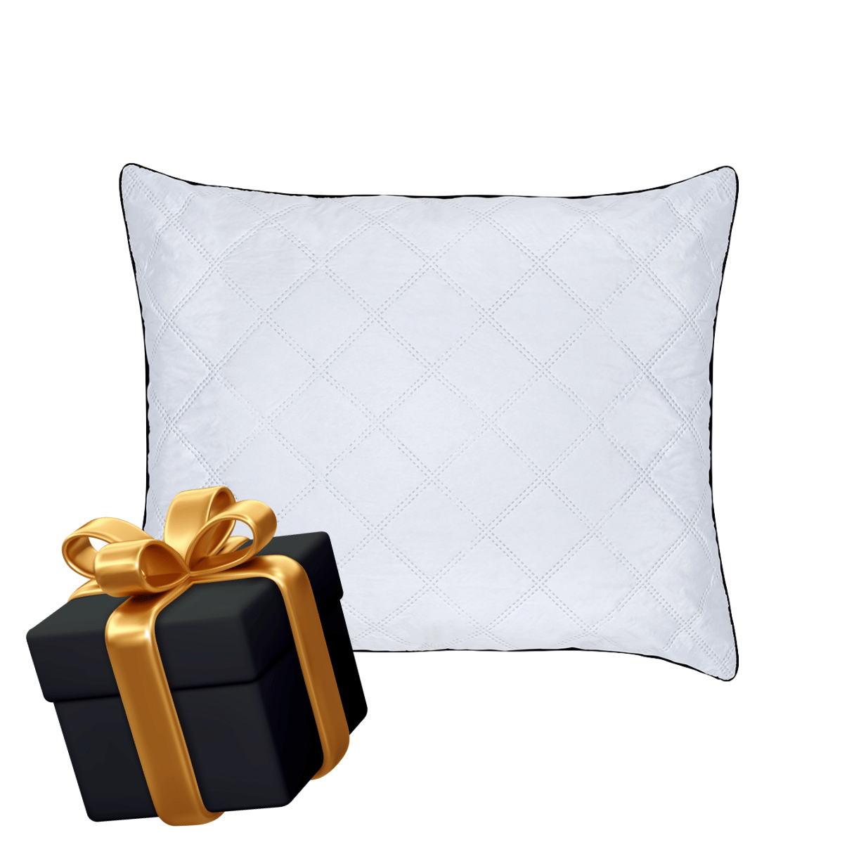 1+1 GRATIS: Zelesta WonderPillow (gleicher Größe)