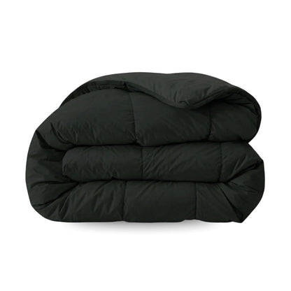 Eine Zelesta Comfort Uni Bettdecke in Schwarz ist ordentlich gefaltet und steht auf einem schlichten weißen Hintergrund.