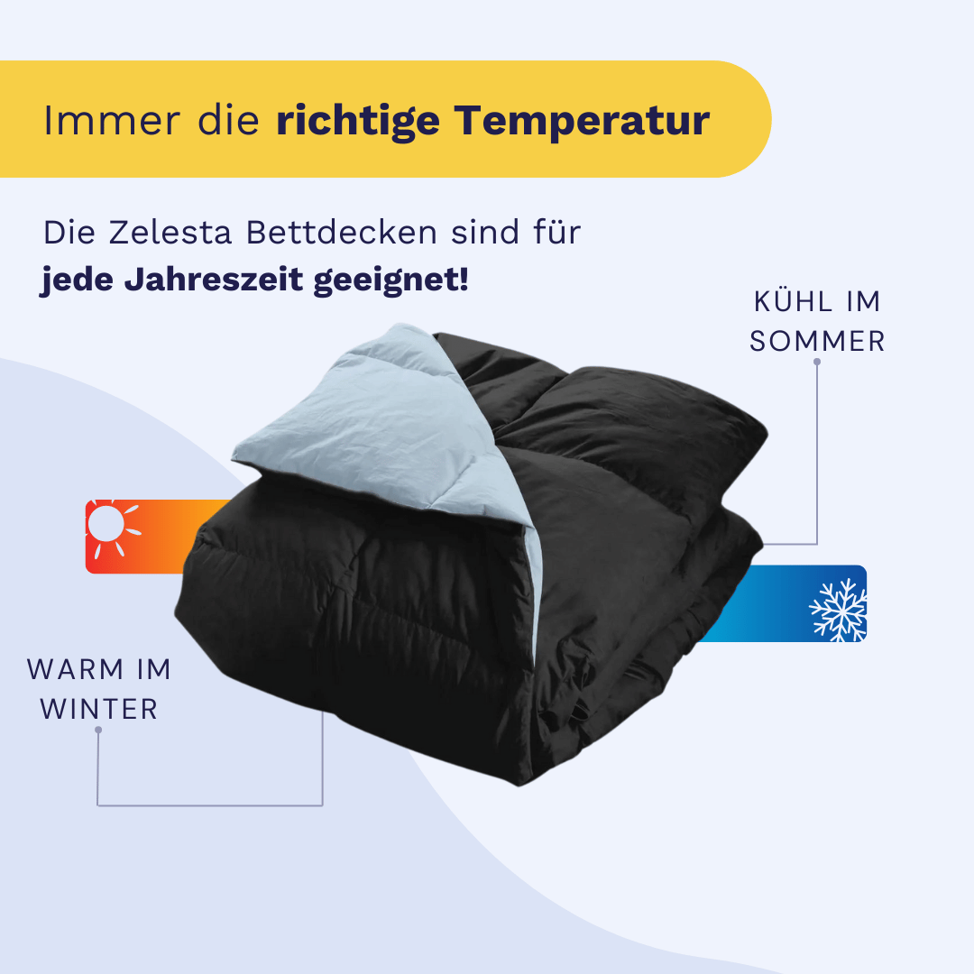 Zelesta Wonderbed Cotton Down - Himmelblau & Schwarz