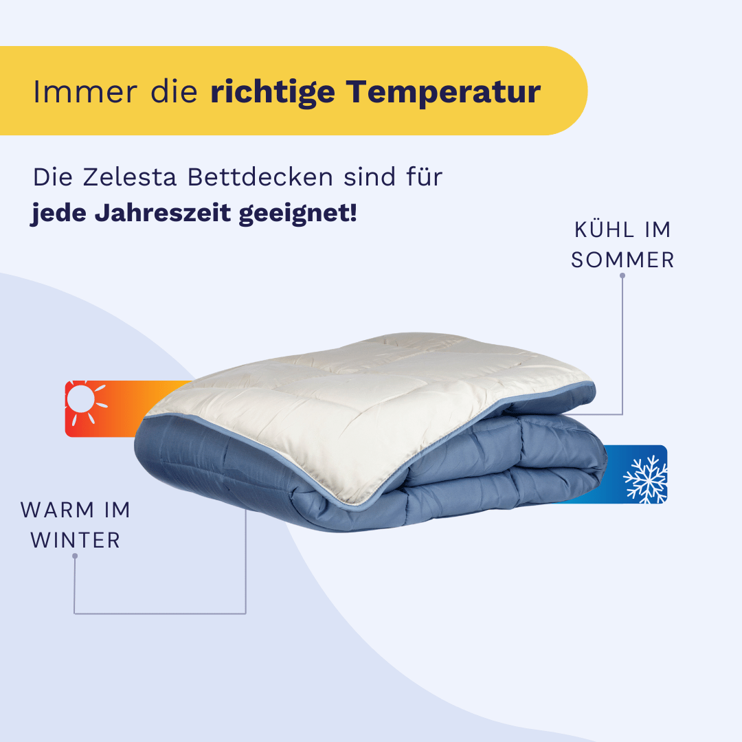 Zelesta-Easybed-Blau-und-Mastic-modernes-Design
