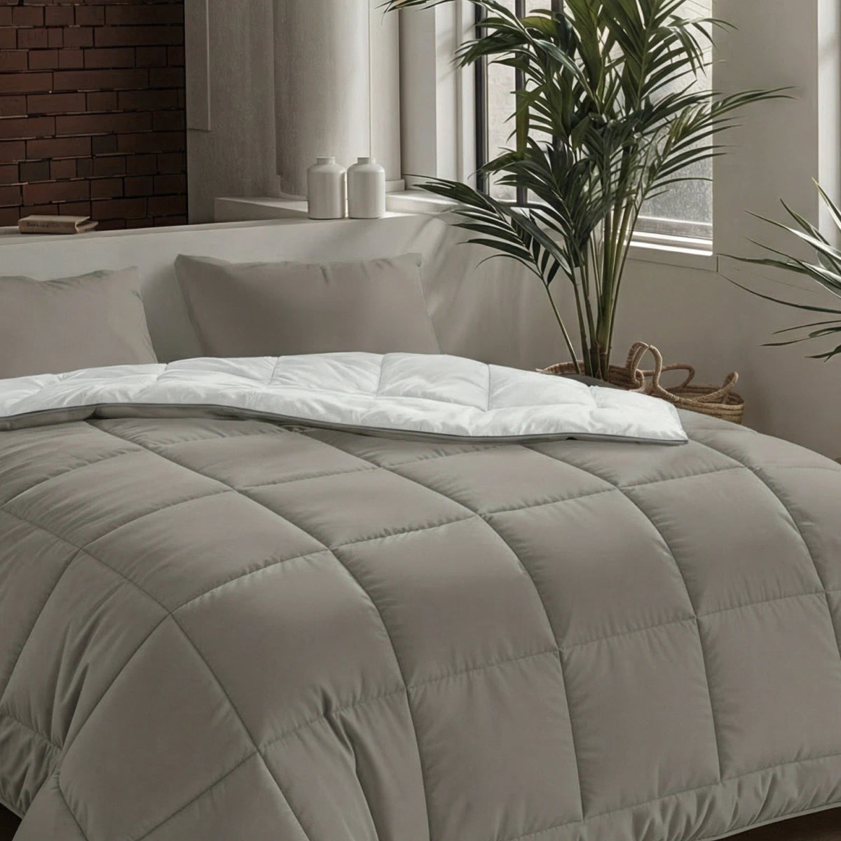 Ein ordentlich gemachtes Bett mit der Zelesta Pure Uni Bettdecke in Anthrazitgrau, weißen Laken und grauen Kissen neben einem Fenster mit Topfpflanzen und zwei weißen Deko-Gläsern auf der Fensterbank.