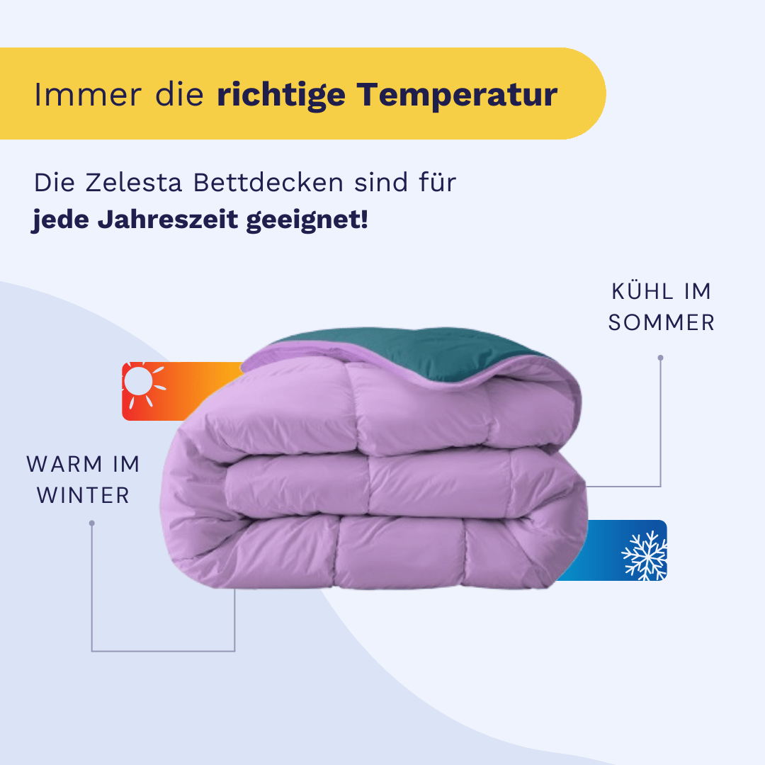 Zelesta Royalbed - Petrol & Lila 240x200cm