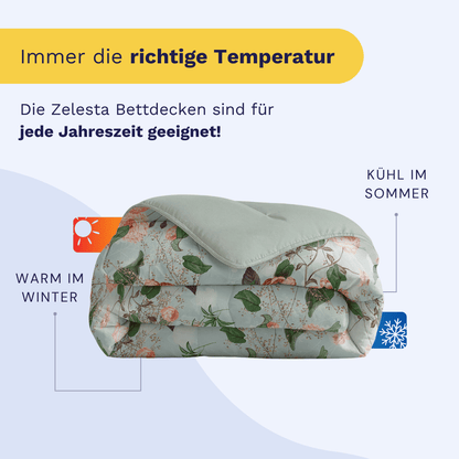 Zelesta Royalbed - Happy Flower
