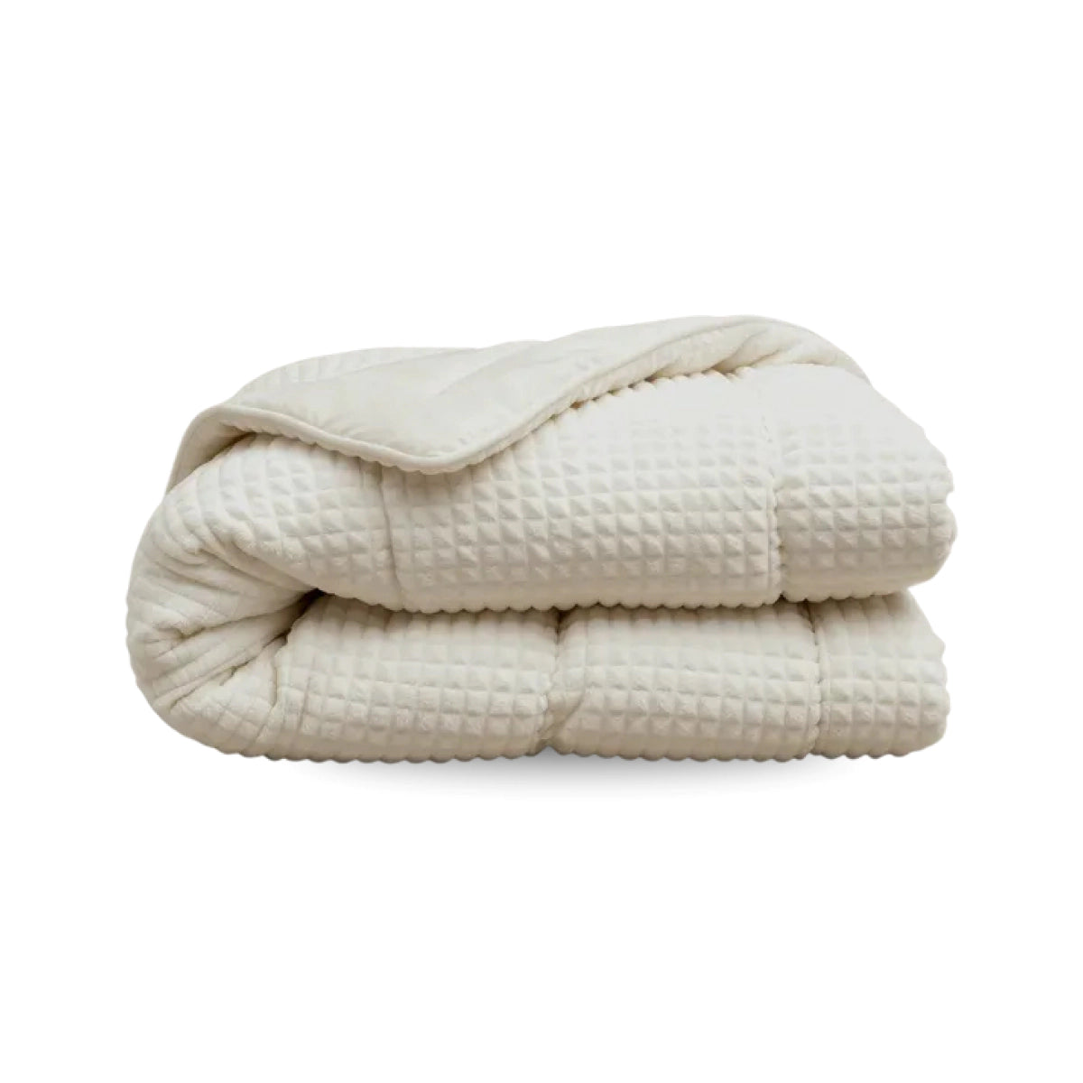 Zelesta Teddy Check - Créme